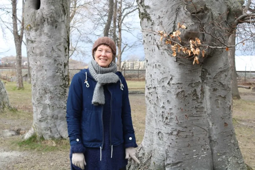 lise-artikkel