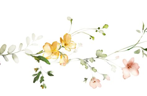 Eksamensfest 2024, barnehagelærer deltid i Kristiansund Eksamensfest 2024, barnehagelærer deltid i Kristiansund