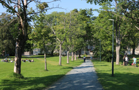 Ledige studieplasser på barnehagelærerutdanningen Ledige studieplasser på barnehagelærerutdanningen