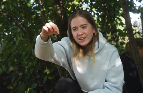 Vil du bli praksislærer?