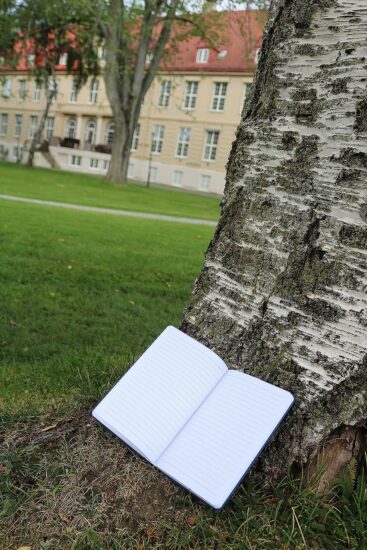 Bilde av en DMMH notisbok liggenes ved en trestamme.