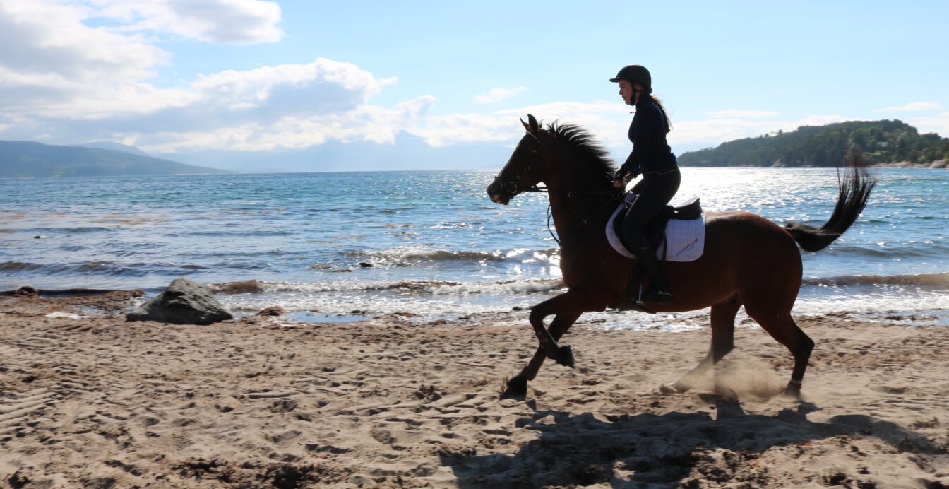 Ridende jente på en sandstrand i solen