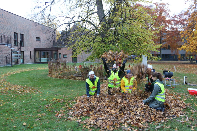Ungdommer i gule vester sitter i en løvhaug og kaster løv.