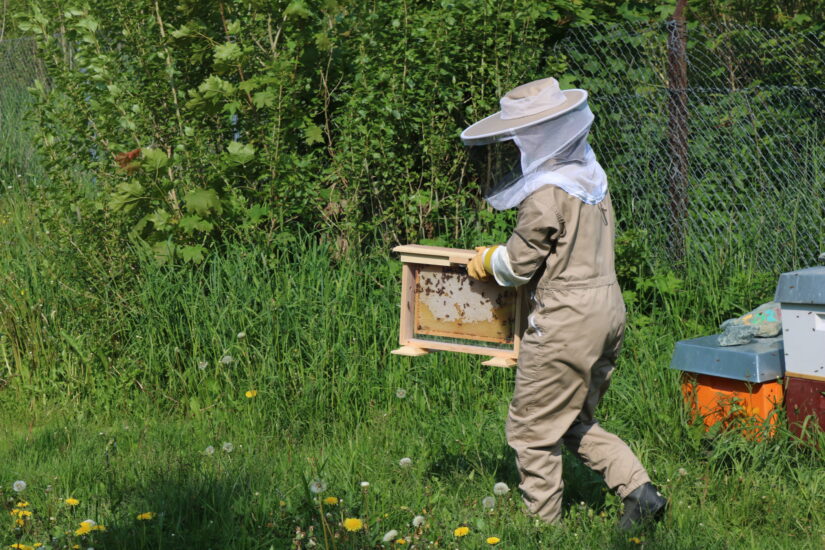 En skikkelse i birøkterdrakt holder et honningbrett.