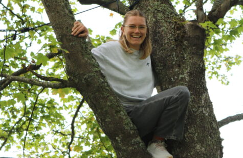 Person sitter i et tre og smiler, omgitt av grønne blader og trestamme. Sensorisk: en person i lys genser og bukser klatrer i en høy trestamme.