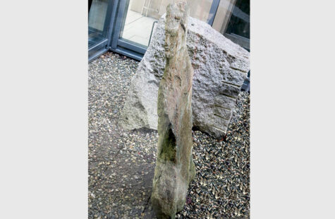 Dronningen Dronningen