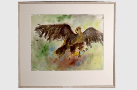 Skapelsen, 15 av 27 Maleri av en fjellvakunge som sprer sine vinger i brunt på en grønn bakgrunn.