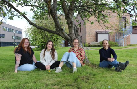 4 kvinner fotografert utendørs, sittende på bakken.
