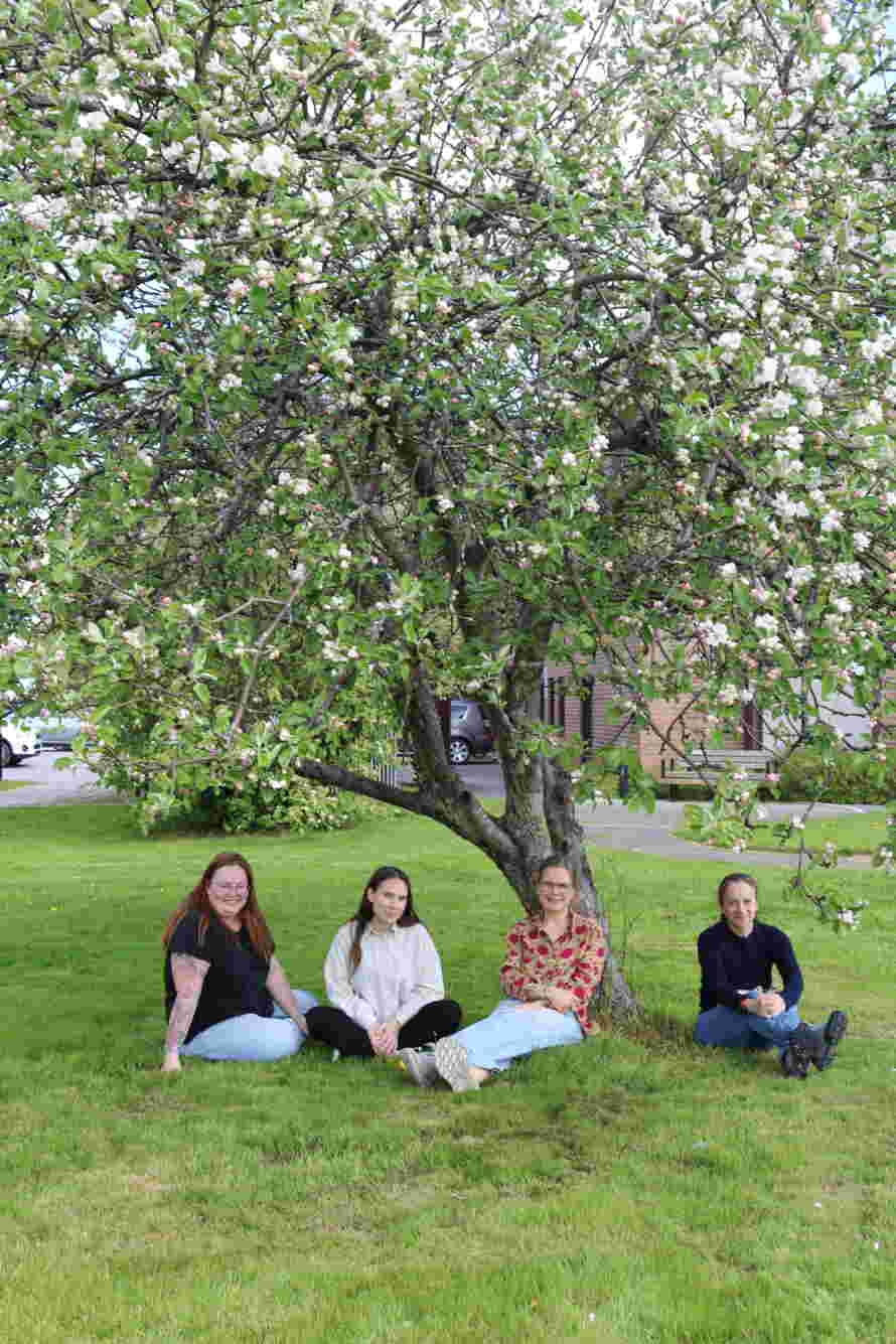 4 kvinner sitter under et tre i full blomst.