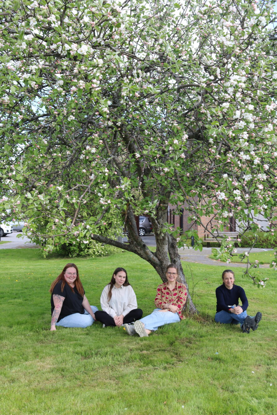 4 kvinner sitter under et tre i full blomst.