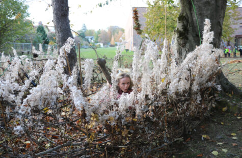 Praktisk læring med moskuser og apekatter Praktisk læring med moskuser og apekatter