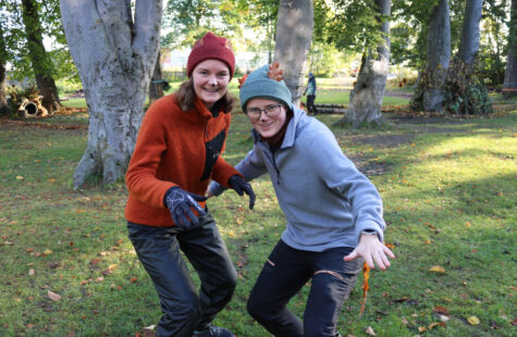 Det myldrer av liv på DMMH Det myldrer av liv på DMMH