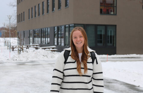 Hvordan ser ulike kulturer på risikolek? Hvordan ser ulike kulturer på risikolek?