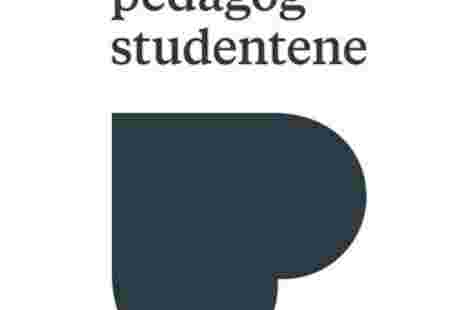 Alle snakker om skolen. Barnehagen blir glemt