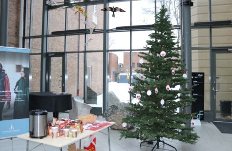 Årets savnetre er på plass i Glassgården Årets savnetre er på plass i Glassgården