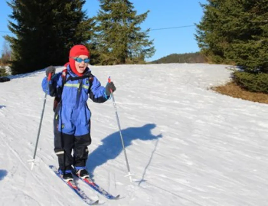 skiglede